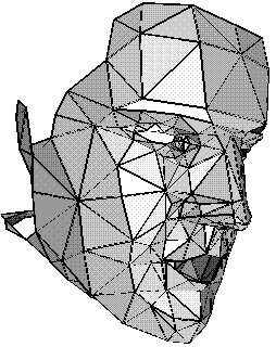 3D Head Model